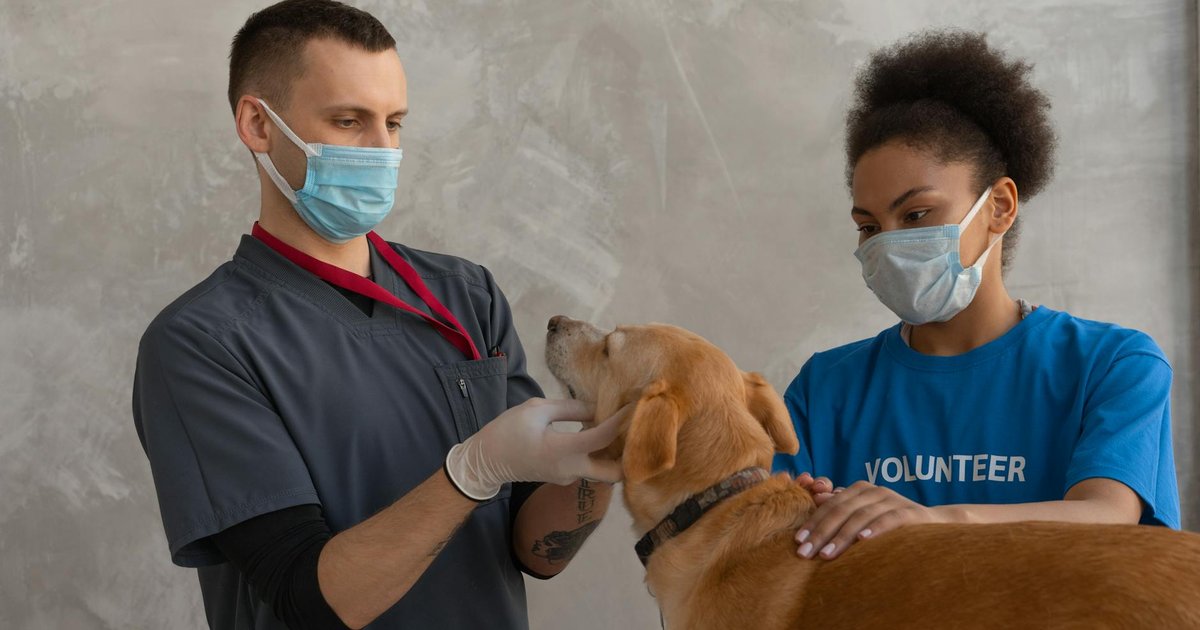 A person holding a tablet showing a veterinarian on a video call, with a happy dog looking on.