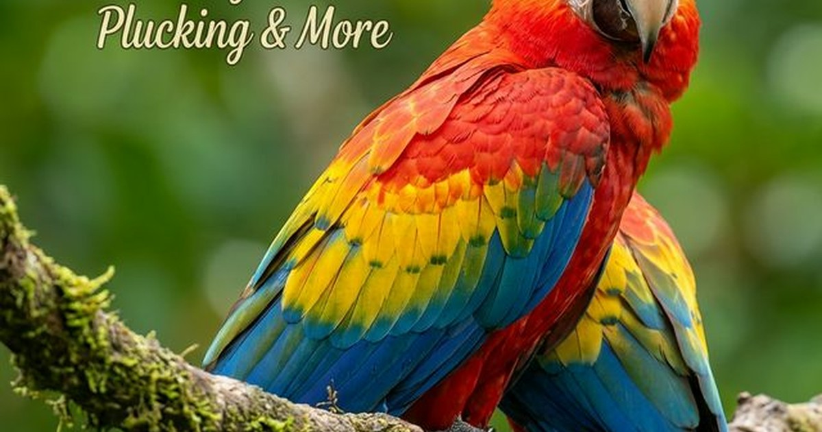 A colorful macaw preening its feathers, looking healthy and vibrant.