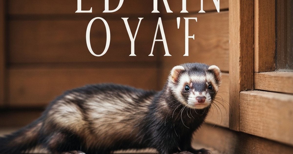 Ferret playing in a tube