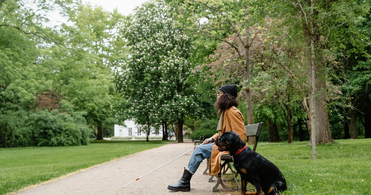 is allergy testing and prescription food covered by dog insurance 2026 cover image